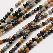 Natural Polychrome Jasper/Picasso Stone/Picasso Jasper Bead Strands, Round, 2mm, Hole: 0.8mm, about 184pcs/strand, 16 inch(G-A130-2mm-22)