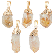 5Pcs Raw Rough Natural Citrine Pendants, Nuggets Charms, with Golden Plated Brass Snap on Bails, 27~42x15.5~18x13~13.5mm, Hole: 4x8.5mm(G-FG0001-11)
