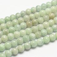 Natural Jadeite Bead Strands, Round, 6mm, Hole: 0.8~1mm, about 66pcs/strand, 15.7 inch(G-P204-05-6mm)