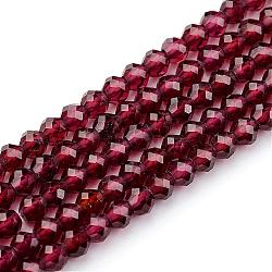 Natural Garnet Beads Strands, Round, 2.5~3mm, Hole: 0.8mm, about 161pcs/strand, 15.9 inch(G-K127-01F-3mm)