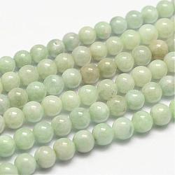 Natural Jadeite Bead Strands, Round, 6mm, Hole: 0.8~1mm, about 66pcs/strand, 15.7 inch(G-P204-05-6mm)