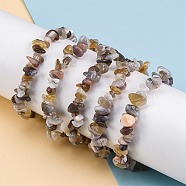 Natural Botswana Agate Chip Beaded Stretch Bracelets for Women Men, Inner Diameter: 2 inch(5.1cm)(BJEW-L038-01C)