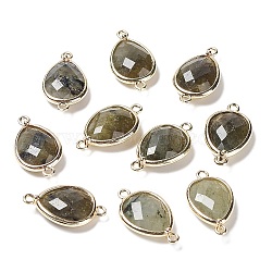 Natural Labradorite Links connectors, with Golden Tone Brass Findings, Teardrop, 22x12x5mm, Hole: 1.6mm(G-L514-015F)