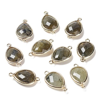Natural Labradorite Links connectors, with Golden Tone Brass Findings, Teardrop, 22x12x5mm, Hole: 1.6mm
