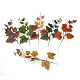 Crafans 30Pcs 6 Colors Artificial Plastic Maple Leaf(AJEW-CF0001-03)-2
