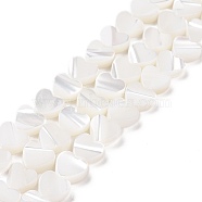 Natural Trochus Shell Beads Strands, Heart, White, 6.5x6.5x2.5mm, Hole: 0.8mm, about 66pcs/strand, 15.20''(38.6cm)(SSHEL-H070-06A)