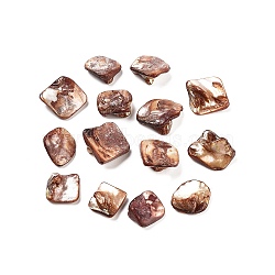 Natural Freshwater Shell Beads, Dyed, Coconut Brown, Size: about 10~20mm long, 12~18mm wide, 5~9mm thick, hole: 1mm, about 320pcs/500g(BSHE-S028-3)