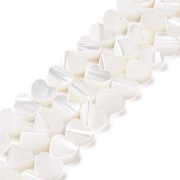Natural Trochus Shell Beads Strands, Heart, White, 6.5x6.5x2.5mm, Hole: 0.8mm, about 66pcs/strand, 15.20''(38.6cm)