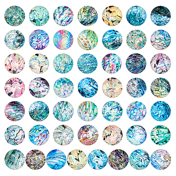 Elite Glass Cabochons, Half Round/Dome, Shell Pattern, 25mm, about 50pcs/bag, 1 bag/box