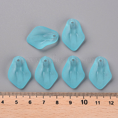 Transparent Frosted Acrylic Pendants(MACR-S371-03A-755)-4