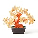 Natural Yellow Quartz Chips Money Tree Bonsai Display Decorations(DJEW-B007-08C)-1