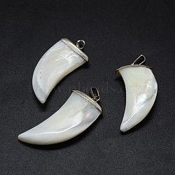 Shell Pendants, with Brass Findings, Scabbard, Platinum, 35~36x15~16x3~5mm, Hole: 2x5mm(SSHEL-E564-17P)
