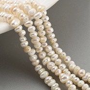 Natural Cultured Freshwater Pearl Beads Strands, Grade 2A+, Rondelle, Navajo White, 3~3.5mm, Hole: 0.6mm, about 66pcs/strand, 7.09 inch(18cm)(PEAR-C003-32A)