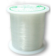Nylon Wire, Clear, 0.3mm, about 142.16 yards(130m)/roll(X-NW0.3mm)