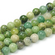 Natural Serpentine Beads Strands, Round, 6mm, Hole: 1mm, about 63pcs/Strand, 14.96 inch(38cm)(G-G829-06-6mm)