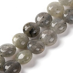 Natural Labradorite Beads Strands, Flat Round, 7.5~8x4.5~5mm, Hole: 1.2mm, about 50~51pcsrand, 14.57~15.35 inch(37~39cm)(G-T047-A18-01)