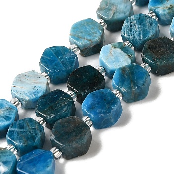 Natural Apatite Beads Strands, Hexagon, with Seed Beads, 8.5~9x8.5~10x4~5mm, Hole: 1mm, about 37~38pcs/strand, 15.55''~15.75''(39.5~40cm)