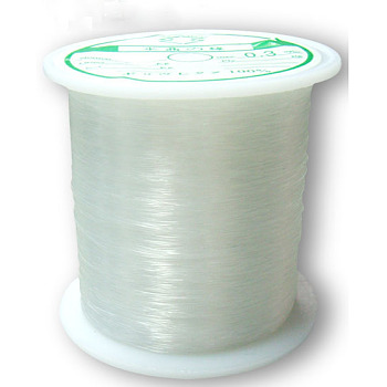 Nylon Wire, Clear, 0.3mm, about 142.16 yards(130m)/roll