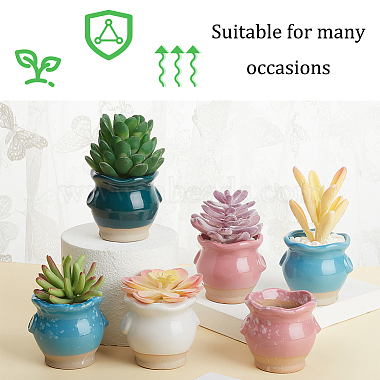 6Pcs 6 Colors Mini Ceramic Succulent Planter Pots(BOTT-NB0001-03)-4