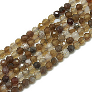 Natural Agate Beads Strands, Faceted, Dyed, Round, 3~3.5mm, Hole: 0.3mm, about 134pcs/strand, 14.9 inch(G-S300-24-3mm)