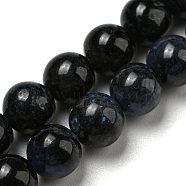 Grade AA Natural Dumortierite Quartz Beads Strands, Round, 6mm, Hole: 1mm, about 66pcs/strand, 15.39''(39.1cm)(G-R494-A14-02)