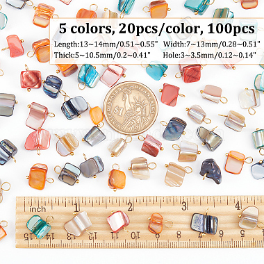 AHADERMAKER 100Pcs 5 Colors Natural Dyed Shell Charms(SHEL-GA0001-13)-2