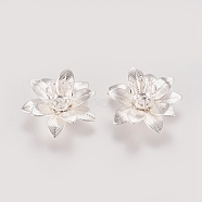 3D Brass Bead Caps, Flower, Multi-Petal, Silver Color Plated, Tray: 5mm, 16x6.5mm, Hole: 0.8mm(KK-G368-04S)