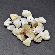 Natural Freshwater Shell Nuggets Chips Beads, PapayaWhip, 6~20x9~10mm, Hole: 1mm, about 400pcs/500g(SHEL-O001-14)