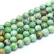 Natural Variscite Beads Strands, Round, 8~8.5mm, Hole: 0.8mm, about 49pcs/strand, 15.75 inch(40cm)(G-G823-02-8mm)