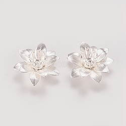 3D Brass Bead Caps, Flower, Multi-Petal, Silver Color Plated, Tray: 5mm, 16x6.5mm, Hole: 0.8mm(KK-G368-04S)