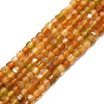 Natural Yellow Tourmaline Beads Strands, Faceted, Cube, 2x2x2mm, Hole: 0.6mm, about 182pcs/strand, 15.16''~15.55''(38.5~39.5cm)