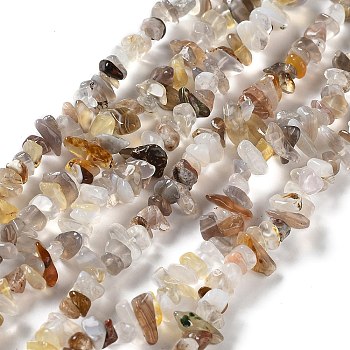 Natural Botswana Agate Beads Strands, Chip, 4~12x3~5x1~4mm, Hole: 0.5mm, 16.06''(40.8cm)