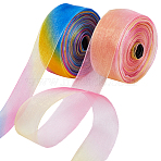 2 Skeins 2 Colors Rainbow Color Polyester Organza Ribbon, for Bow Making, Colorful, 1 inch(25mm), about 25.00 Yards(22.86m)/skein, 1 skein/color(SRIB-CY0001-04)