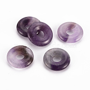 Natural Amethyst Pendants, Donut/Pi Disc, 18x4.5~5.5mm, Hole: 5.5mm(G-T122-66M)