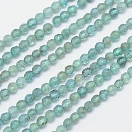 Faceted Round Natural Apatite Bead Strands, 4mm, Hole: 1mm, about 100pcs/strand, 15.5 inch(G-I156-05)