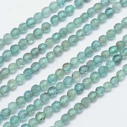 Faceted Round Natural Apatite Bead Strands, 4mm, Hole: 1mm, about 100pcs/strand, 15.5 inch(G-I156-05)