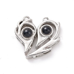Alloy Magnetic Pendants, with Glass, Heart Charms, for Couple Jewelry Bracelets Pendants Necklaces Gift, Platinum, 23x23.5x8mm, Hole: 1.5mm(FIND-G037-03P)