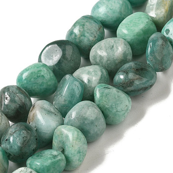 Natural Amazonite Beads Strands, Nuggets, Tumbled Stone, 8.5~11.5x8~11x8~10mm, Hole: 1.1mm, about 36~42pcs/strand, 15.55~15.94''(39.5~40.5cm)