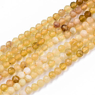 Gradient Style Natural Yellow Opal Beads Strands, Faceted, Round, 2.5mm, Hole: 0.5mm, about 170~172pcs/strand, 15.55 inch(39.5cm)(G-S362-073)
