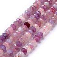 Natural Plum Blossom Tourmaline Beads Strands, Faceted, Rondelle, 5x3.5mm, Hole: 0.9mm, about 106~107pcs/strand, 15.35~15.55 inch(39~39.5cm)(X-G-G991-B02)