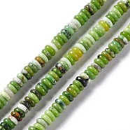 Natural Serpentine Jade Beads Strands, Rondelle, 6~6.5x2~2.5mm, Hole: 1.2mm, about 157pcs/strand, 15.31 inch(38.9cm)(G-F727-01)