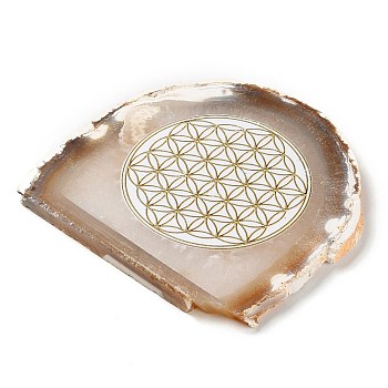 Printed Natural Agate Slice Stone Ornament, for Good Luck Home Office Decor, Flat Round, 100~125x105~150x7.5~8mm