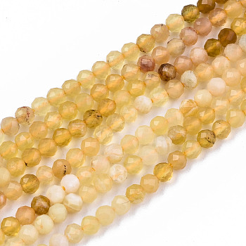 Gradient Style Natural Yellow Opal Beads Strands, Faceted, Round, 2.5mm, Hole: 0.5mm, about 170~172pcs/strand, 15.55 inch(39.5cm)