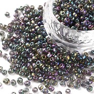 (Repacking Service Available) Round Glass Seed Beads, Transparent Colours Rainbow, Round, Dark Gray, 8/0, 3mm, about 12g/bag(SEED-C016-3mm-172)