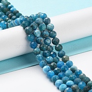 Natural Apatite Beads Strands, Faceted, Round, 5.5mm, Hole: 0.8mm, about 75pcs/strand, 15.55 inch(39.5cm)(G-J400-E01-04)