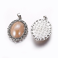 Tibetan Style Alloy Pendants, with Acrylic, Oval, Antique Silver, Camel, 39x28.5x8.5mm, Hole: 4x5mm(PALLOY-E510-01AS)