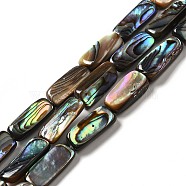 Natural Paua Shell Beads Strands, Rectangle, 13~15.5x6.5x3.5~6mm, Hole: 0.8mm, about 28pcs/strand, 16.22~16.34 inch(41.2~41.5cm)(SHEL-G014-09)
