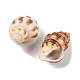 DIY Shell Pendant Making Kits(DIY-FP0001-47)-4