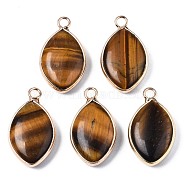Natural Tiger Eye Pendants, with Golden Plated Brass Edge and Loop, Horse Eye, 25x14x5.5mm, Hole: 2.5mm(G-S359-318A)