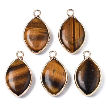 Natural Tiger Eye Pendants, with Golden Plated Brass Edge and Loop, Horse Eye, 25x14x5.5mm, Hole: 2.5mm